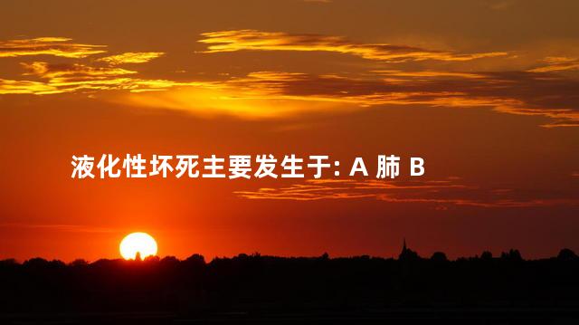 液化性坏死主要发生于: A 肺 B 肾 C 脑 D 心 E 脾
